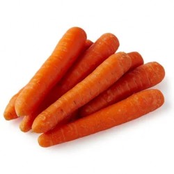 Carrot