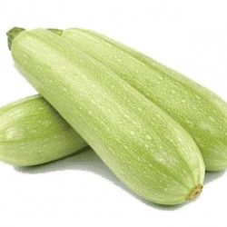 Zucchini