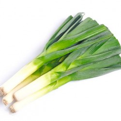 Leek