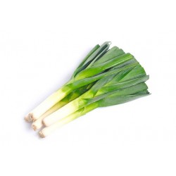 Leek